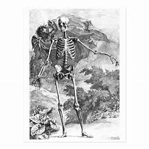 Image result for Angel Skeleton Found