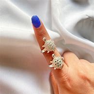 Image result for Turtle Age Ring