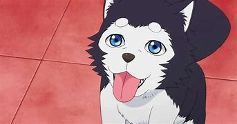 Image result for Anime Characters in Dog Form