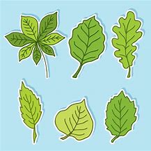 Image result for Free Printable Green Leaves