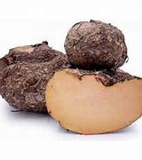 Image result for Suran Elephant Yam