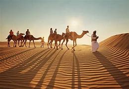 Image result for A Desert Safari