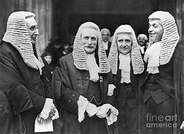 Image result for Judicial Wig