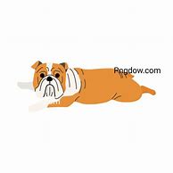 Image result for Bulldog Clip Art Transparent