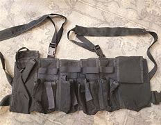 Image result for AWS M14 Chest Rig