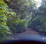 Image result for Walk to Rajmachi