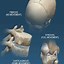 Image result for Human Body Joints