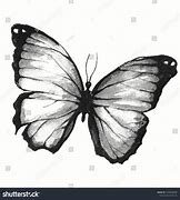 Image result for Red and Black Butterfly Drawings