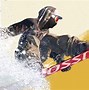 Image result for Riders Republic Skiing