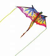 Image result for Inflatable Dragon Kite