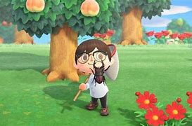 Image result for Animal Crossing New Leaf Bugs