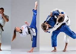 Image result for Karate vs Taekwondo