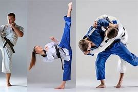 Image result for Karate vs Taekwondo