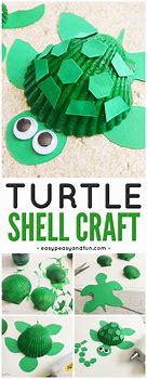 Image result for Seashell Turtle Craft