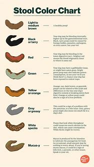 Image result for Know Your Poop Chart