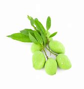 Image result for Mango Raw Leave