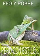 Image result for Stop Talking Lizard Meme