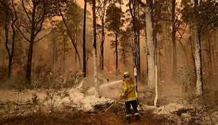 Image result for Aboriginal Fire