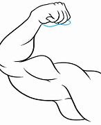 Image result for Drawings of Biceps