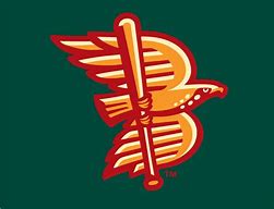 Image result for Boise Hawks Logo