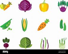 Image result for Healthy Food Icons