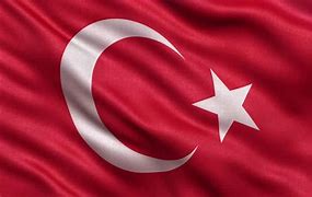 Image result for Turkish Eagle Flag