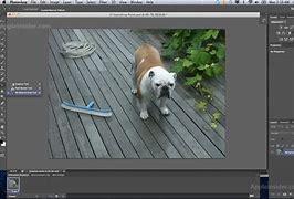 Image result for Adobe Photoshop Screenshots