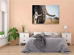 Image result for Baby Elephant Tusks