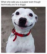 Image result for Resivior Dog Meme Ear