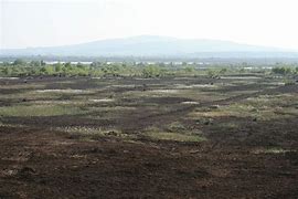 Image result for Bog of Allen Map