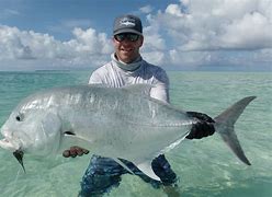 Image result for Giant Trevally Fly Fishing