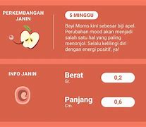 Image result for Janin 5 Minggu