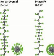 Image result for PTFE Structure