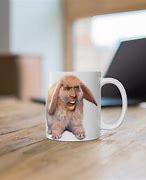 Image result for Nicolas Cage Bunny Meme