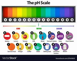 Image result for Light Bulb pH Scale