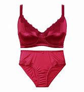 Image result for Plus Size Bra Set