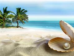 Image result for Sea Shells Wallpaper 4K