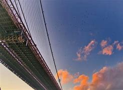 Image result for Brooklyn Bridge Fun Facts