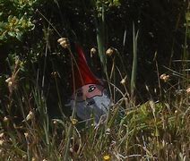 Image result for Gnome Spotting