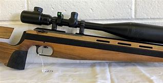 Image result for 22LR Match Rifle