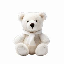 Image result for Teddy Warm Pad