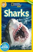 Image result for Medium Sharks National Geographic