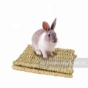 Image result for Wooden Pet Mat