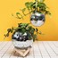 Image result for Disco Ball Planter