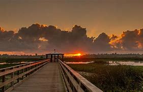 Image result for Cattail Marsh Beaumont TX