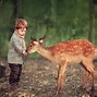 Image result for Female Baby Deer