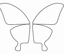 Image result for butterfly wings patterns