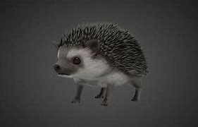 Image result for 3D Hedgehog Card