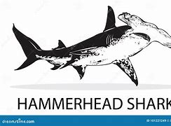 Image result for Shark with Headphones Black and White