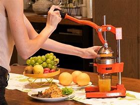 Image result for Manual Countertop Juicer